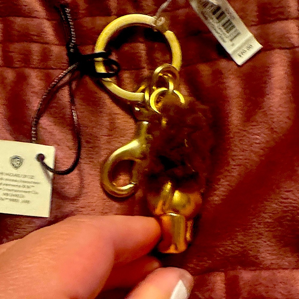 Coach Nwt 2018 Retired Coach Wizard of Oz Bear Keychain Charm the cowardly lion. - Picture 5 of 13